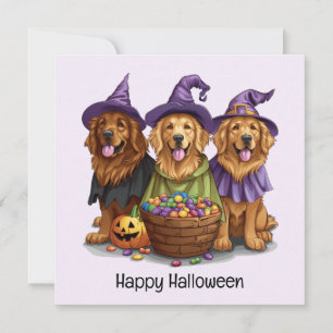 Halloween Golden Retriever Hexenhunde Einladung
