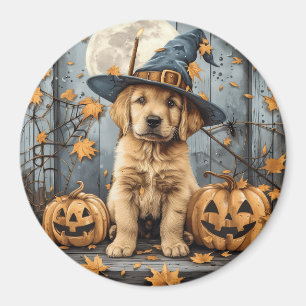 Halloween Golden Retriever Welpe Jack O Lanterns Magnet