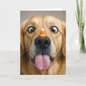Halloween Golden Retriever With Candy Corn Karte (Vorderseite)
