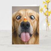 Halloween Golden Retriever With Candy Corn Karte (Gelbe Blume)
