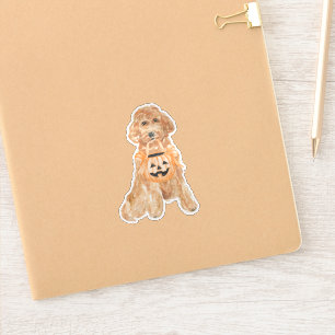 Halloween Goldendoodle Pumpkin Trick oder Behandlu Aufkleber