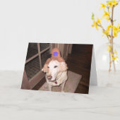 Halloween goosee karte (Gelbe Blume)