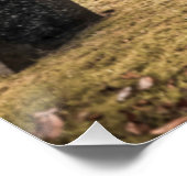 Halloween Goth Girls im Cemetar Poster (Ecke)