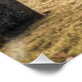 Halloween Goth-Mädchen Poster (Ecke)