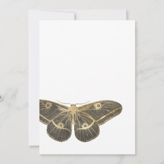 Halloween Gothic Wedding Update Einladung (Rückseite)