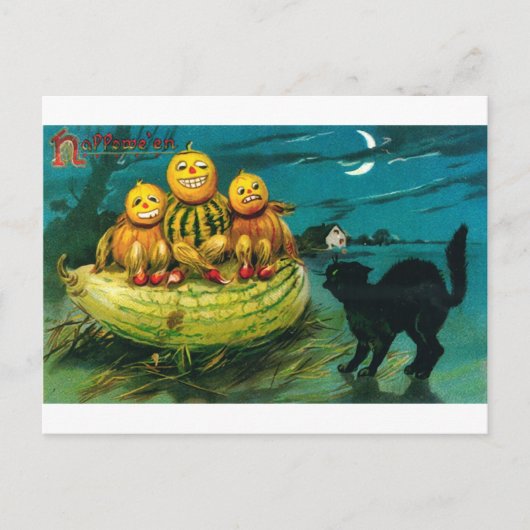 Halloween Gourd People and Cat Postkarte (Vorderseite)
