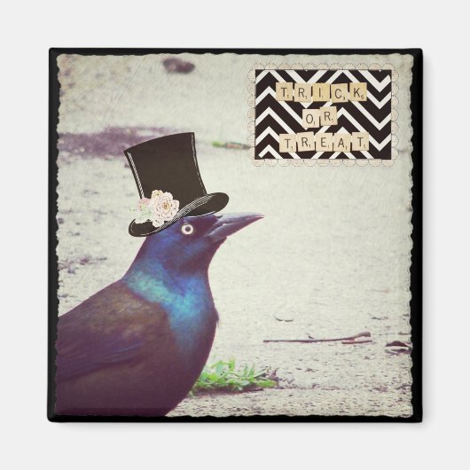 Halloween Grackle Magnet (Vorne)
