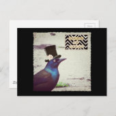 Halloween Grackle Postkarte (Vorne/Hinten)