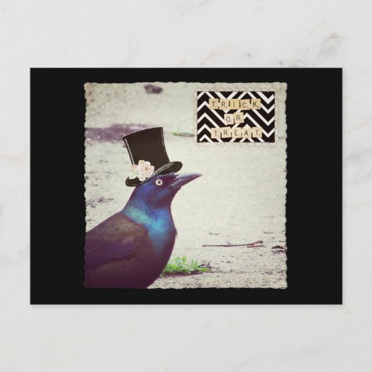 Halloween Grackle Postkarte (Vorderseite)