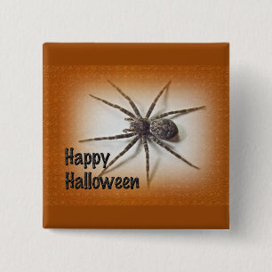 Halloween Greetings - Dolomedes tenebrosus Spider Button