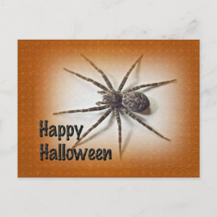 Halloween Greetings - Dolomedes tenebrosus Spider Postkarte