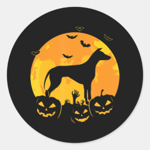 Halloween Greyhound Jack Lantern Puppy Pumpkin Runder Aufkleber