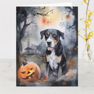 Halloween Grosser Schweizer Mit Kürbissen Gruselig Karte