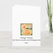 Halloween-Gruß-Karte Karte (Rückseite)