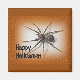 Halloween-Grüße - Dolomedes tenebrosus Spinne Magnet