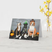 Halloween Grußkarte. Foto, 3 Hunde ziehen. Karte (Gelbe Blume)