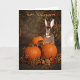 Halloween-Hase in einem Kürbisfeld Karte