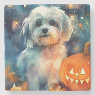 Halloween Havanese mit Pumpkins Beängstigend Steinuntersetzer