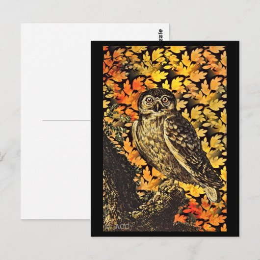 Halloween-Herbstblättern Postkarte (Vorne/Hinten)