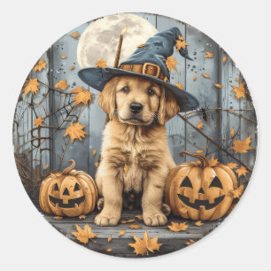 Halloween Hexe Golden Retriever Welpe Kürbisse Runder Aufkleber