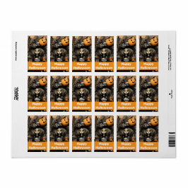 Halloween-Hexe mit Kürbissen Adressaufkleber