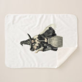 Halloween Hexe und Junge: Dunkle Magie Sherpadecke (Vorderseite (Horizontal))