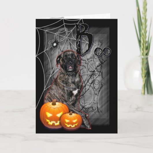 Halloween - Howloweenie Mastiff - Cyclone Karte (Vorderseite)