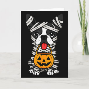 Halloween-Hund Boston Terrier Mumienkostüm Männer Karte