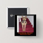 Halloween Hund Keine Leckereien Button (Vorne & Hinten)