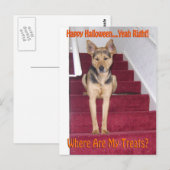 Halloween Hund Keine Leckereien Postkarte (Vorne/Hinten)