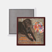 Halloween Hund mit Sweet Tooth Magnet (Vorderseite/Rückseite)