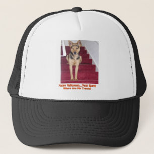 Halloween Hund ohne Leckereien Truckerkappe