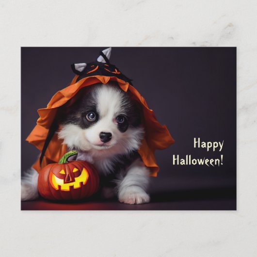 Halloween Hund. Welpe mit Kürbissen. Niedlich. Postkarte (Vorderseite)
