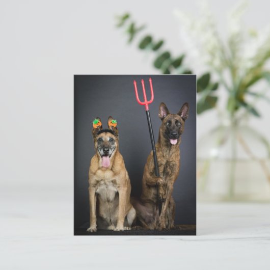 Halloween-Hunde Postkarte (Stehend Vorderseite)