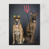 Halloween-Hunde Postkarte (Vorderseite)