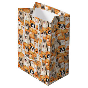 Halloween-Hunde - Süße Hunderassen mit Kürbis 2 Mittlere Geschenktüte