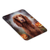 Halloween Irish Red Setter mit Pumpkins Beängstige Magnet (Rechte Seite)