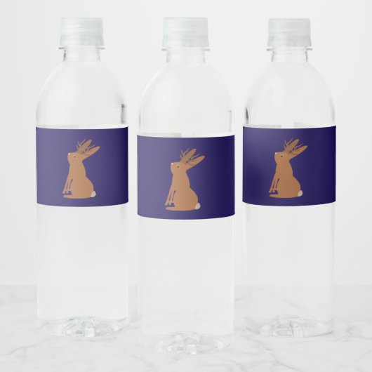 Halloween Jackalope Trick oder Treat Gemustert Wasserflaschenetikett (Flaschen)
