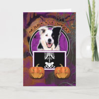 Halloween - Just a Lil Spooky - Border Collie