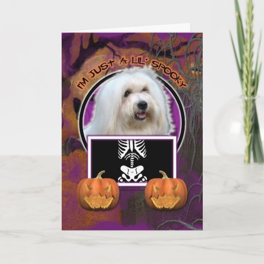 Halloween - Just a Lil Spooky - Coton de Tulear Karte (Vorderseite)