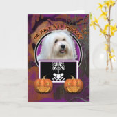 Halloween - Just a Lil Spooky - Coton de Tulear Karte (Gelbe Blume)