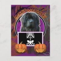 Halloween - Just a Lil Spooky - Neufundland