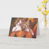 Halloween-Kätzchen-Karte Karte (Gelbe Blume)