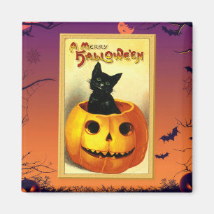 Halloween-Kätzchen sitzt in Jack-O-Lantern Vintage Magnet