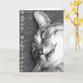 Halloween-Katze Karte (Gelbe Blume)