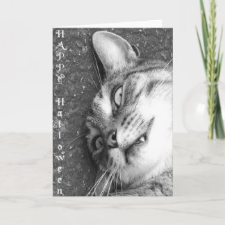 Halloween-Katze Karte