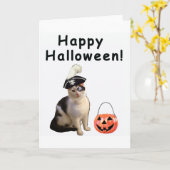 Halloween-Katze Karte (Gelbe Blume)