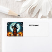 Halloween-Katze mit Kürbis (Insitu)