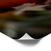 Halloween. Katze Poster (Ecke)