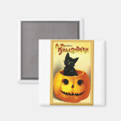 Halloween-Katze sitzt in Jack O Lantern Magnet (Vorderseite/Rückseite)